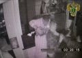 � ��������������� ������ ����������� ������� �� �����������