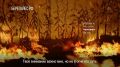 Одна из основных причин лесных пожаров — человеческая беспечность: незатушенные костры, брошенные окурки, спички, сжигание сухой травы