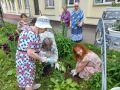 Гарденотерапия делает будни ярче