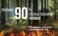 Каждый год из-за пожаров мы теряем около 100 тысяч гектар леса