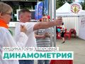 Вы когданибудь задумывались, что по силе рукопожатия можно многое сказать о здоровье? Именно это и проверяет динамометрия