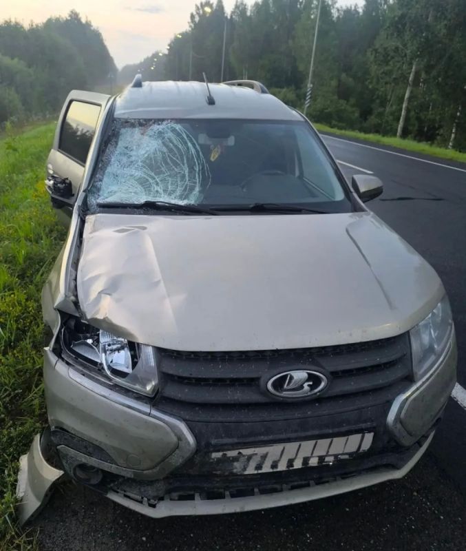 В Котельничском районе Кировской области ночью произошло смертельное ДТП