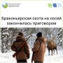 За незаконный отстрел двух лосей осуждена группа браконьеров