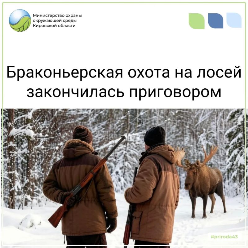 За незаконный отстрел двух лосей осуждена группа браконьеров