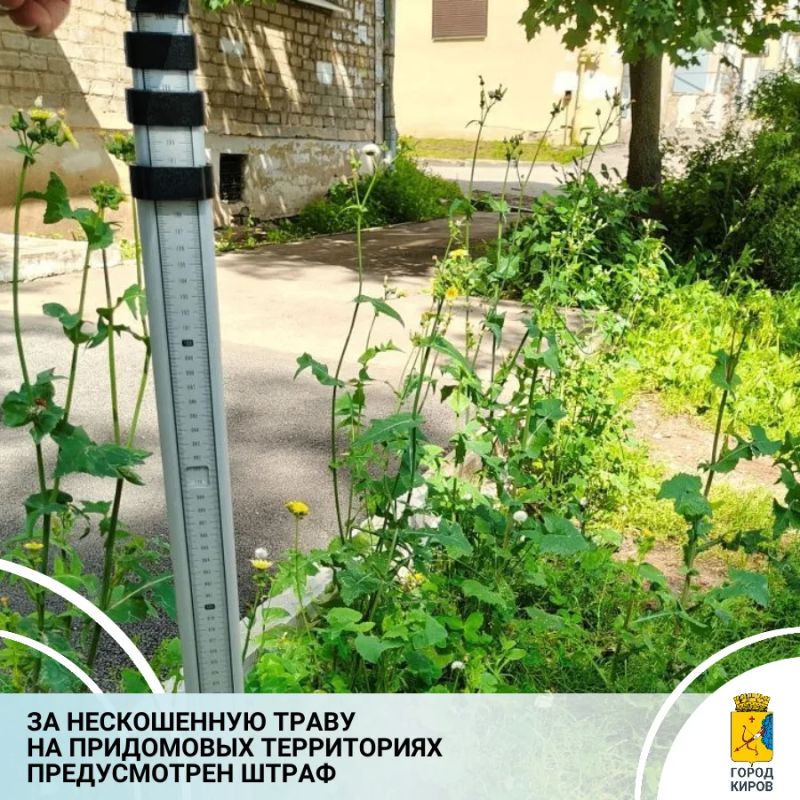 Территориальные управления на постоянной основе осуществляют муниципальный контроль нарушений правил уборки тротуаров и закрепленных территорий
