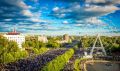 Жара в Кировской области задержится до конца месяца