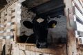 Минсельхозпрод Кировской области опубликовал данные по надоям молока в регионе