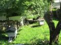 В Вятскополянском районе пчёлы с частной пасеки покусали несколько человек