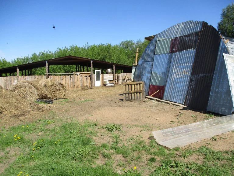Управление Россельхознадзора по Кировской области оштрафовало владельца личного подсобного хозяйства в Уржумском районе за нарушение ветеринарных правил
