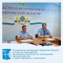 На прошедшей неделе состоялись мероприятия в формате видеоконференцсвязи, посвященные анализу работы управления ветеринарии по контролю за соблюдением законодательства в сфере обращения с животными