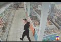 #кактамусоседей. В Йошкар-Оле задержали троих парней из Кирова и Кирово-Чепецка за серию краж в продуктовых магазинах