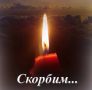 Разделяем боль земляков. Министерство лесного хозяйства Кировской области выражает глубокие и искренние соболезнования семьям и близким погибших кировчан