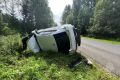 В Верхошижемском округе автомобиль столкнулся с лосем