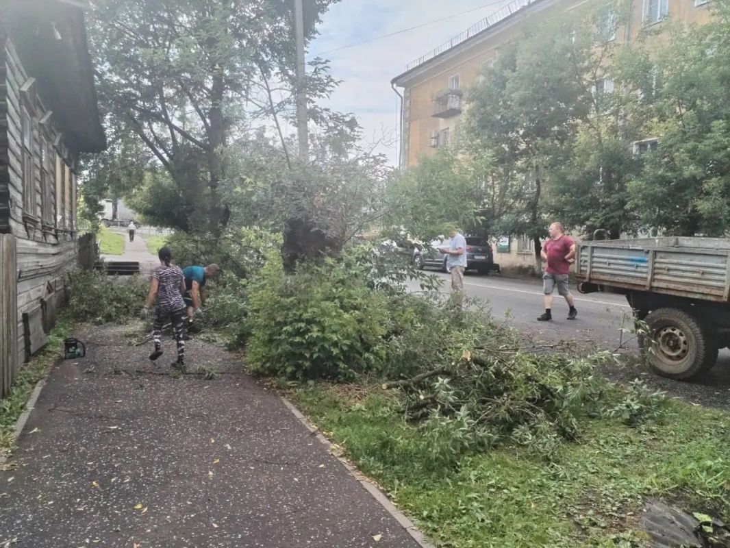 Десятки поваленных деревьев, оборванные провода, перегороженные улицы и тротуары Десятки поваленных деревьев, оборванные провода, перегороженные улицы и тротуары