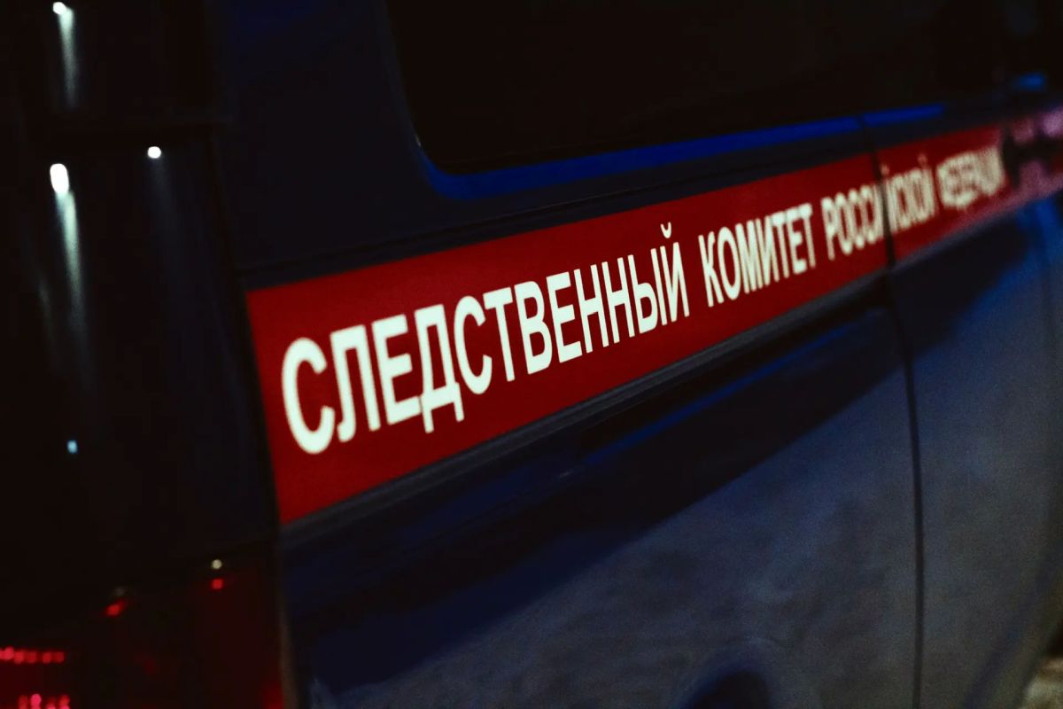 В Кировской области мужчина приговорен к 10 годам лишения свободы за убийство сожительницы