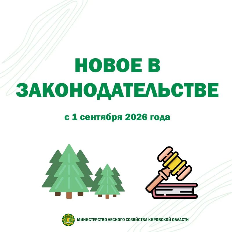 С 1 сентября 2026 года обновляются правила использования лесов и заготовки ресурсов