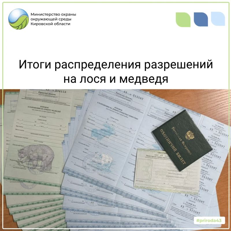 Состоялось распределение разрешений на добычу лося и медведя в общедоступных охотугодьях