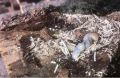 Россельхознадзор задержал в Кировской области партию заражённой древесины объёмом 52 кубометра