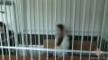 Завершено расследование уголовного дела о мошенничестве на сумму свыше 1 млрд рублей