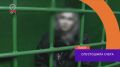 В Юрье вынесен приговор за кражу мобильного телефона потерпевшего и неправомерный доступ к компьютерной информации через портал «ГосУслуги»