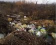 В четырёх районах Кировской области ликвидируют старые свалки
