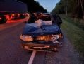 В Пижанском районе в ДТП с лосем пострадала пассажирка «пятнадцатой»