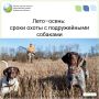 Открывается летне-осенний сезон охоты на пернатую дичь