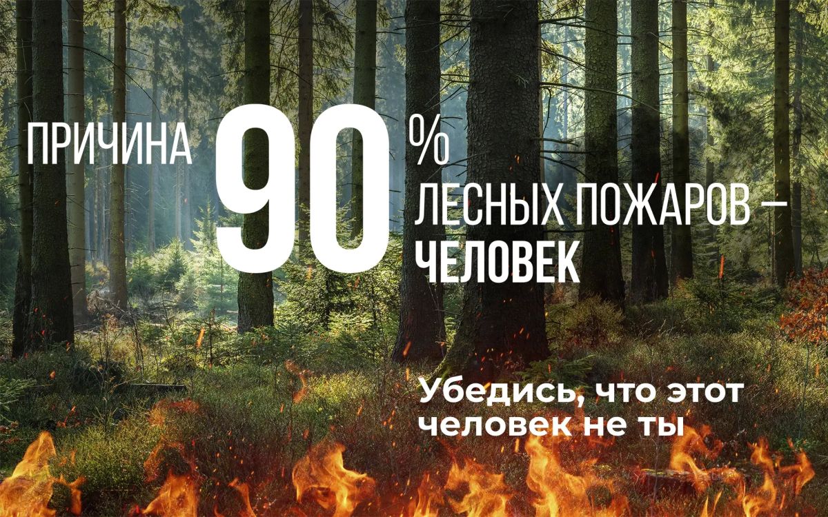 На опережение стихии: профилактика и борьба с лесными пожарами