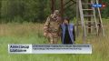 В лесах Кировской области проходят биотехнические мероприятия