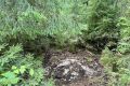 В Лянгасовском лесничестве ликвидировали 5 несанкционированных свалок