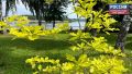 � �����, 12 �������, � ��������� ������� ������� ���������� ���������� ��� ������������ �������, �������� � ������������ ������ �� ����������������� � ����������� ���������� �����