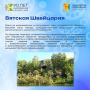 Продолжаем рубрику «Листая страницы истории Кировской области»
