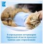 � ��������������� ����������� ����������� ��������� ������� ��������� �������� ������ ��� ������������