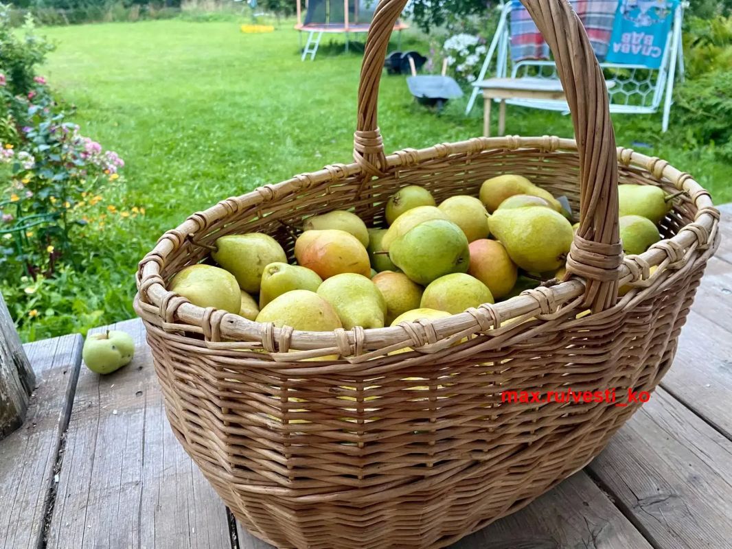 Природа продолжает удивлять своими дарами и сюрпризами Природа продолжает удивлять своими дарами и сюрпризами