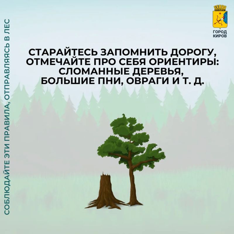 В управлении гражданской защиты города Кирова дали грибникам ряд рекомендаций, чтобы «тихая охота» получилась безопасной: В управлении гражданской защиты города Кирова дали грибникам ряд рекомендаций, чтобы «тихая охота» получилась безопасной: