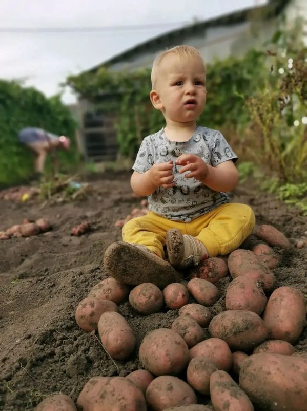 Новые герои рубрики «Маленькие помощники» Новые герои рубрики «Маленькие помощники»