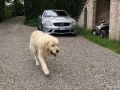 ��� �� ������ ����������� ������������� ������������� ������� ��� ����� ����������-8� ����� � 20