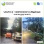 � ������������ �������� ������������� ������������������� ������