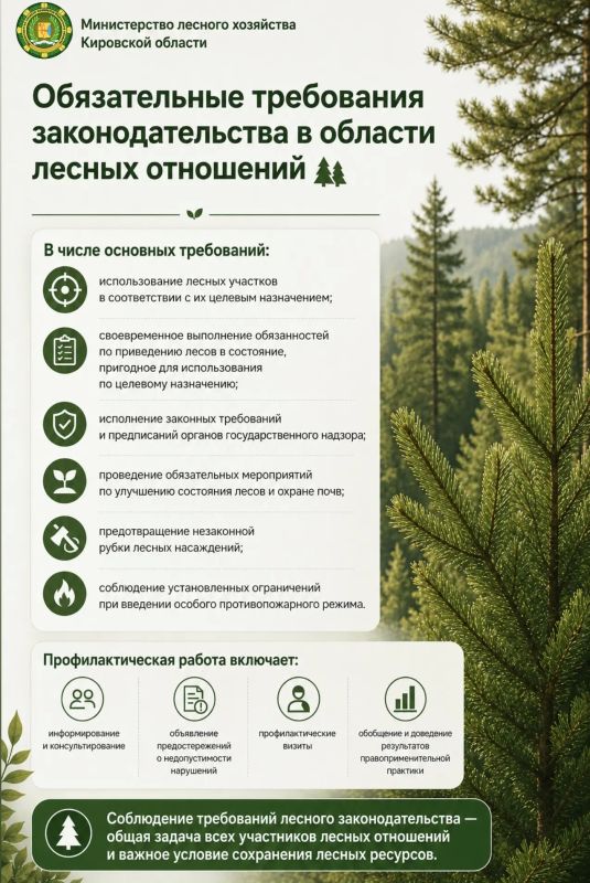 Обязательные требования законодательства в области лесных отношений