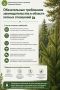 ������������ ���������� ���������������� � ������� ������ ���������