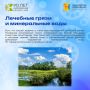 Продолжаем рубрику «Листая страницы истории Кировской области»