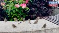 Во вторник, 25 августа, в Кировской области прогнозируют облачную с прояснениями погоду, днем без осадков, ночью – возможен дождь и гроза, сообщили в региональном центре по Гидрометеорологии и мониторингу окружающей среды