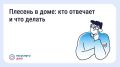 ��� ������, ���� � �������� ��������� �������