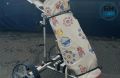 Кировская компания выпускает самоходную тележку для гольфа