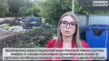 Штраф до 120 тысяч рублей: в Порошино и Подберезах пресекают незаконное размещение мусора