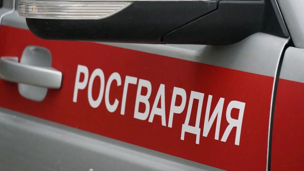 Уличная потасовка в Кирове привела к задержанию обувного вора