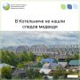 В Котельниче проверили информацию о появлении медведя