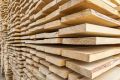����� 310 ����� ���������� ��������� ��������� �� ��������� ������� � ������ �������