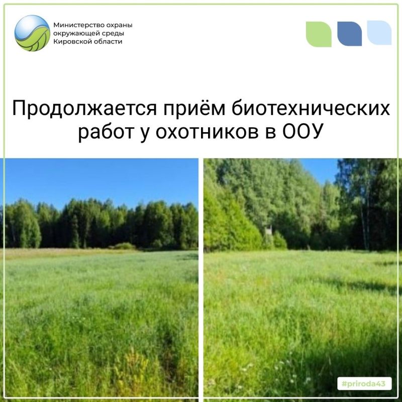 Уважаемые охотники!В настоящее время имеются нераспределенные разрешения на медведя в общедоступные охотугодья Кировской области на текущий сезон охоты, который продлится до 31 декабря.Разрешения можно получить в... Уважаемые охотники!В настоящее время имеются нераспределенные разрешения на медведя в общедоступные охотугодья Кировской области на текущий сезон охоты, который продлится до 31 декабря.Разрешения можно получить в...
