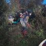 Волонтеры поискового отряда "ЛизаАлерт" Кировской области помогли спасти лошадь